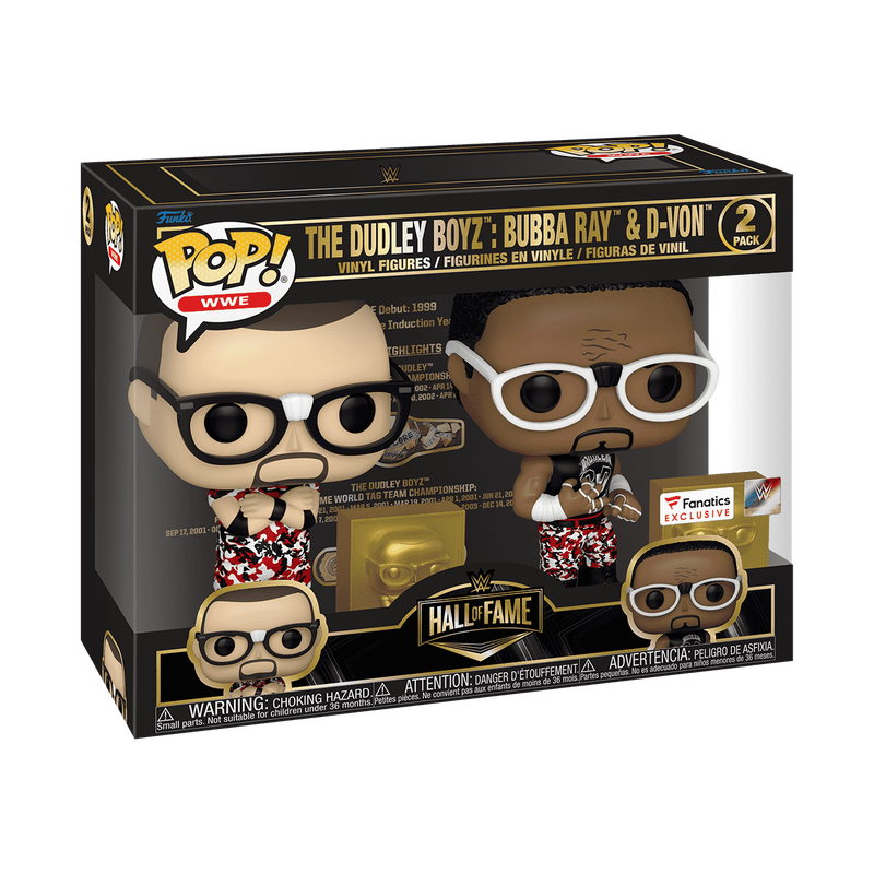 & Buddy The Dudley Boyz: Bubba Ray & D-Von (2018 Hall of Fame) 2-Pack